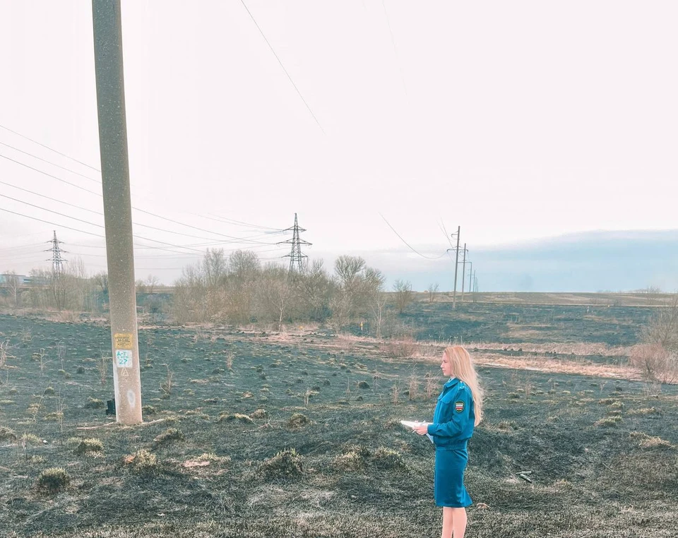 Жители Киреевского района Тульской области жалуются на постоянные поджоги травы