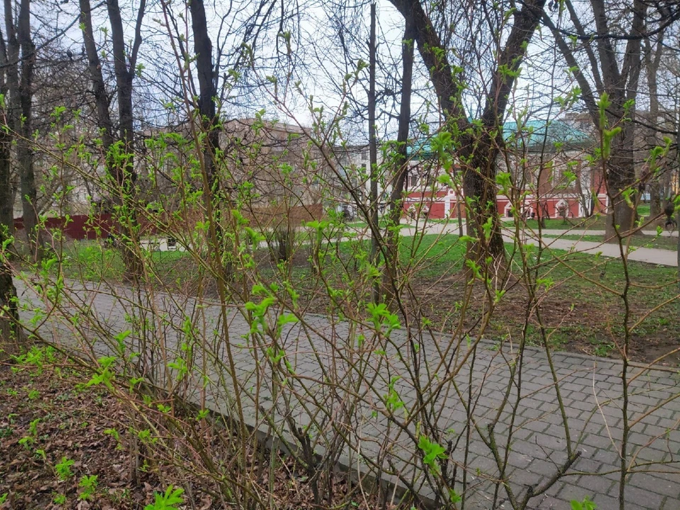 В пятницу будет солнечно, без осадков.