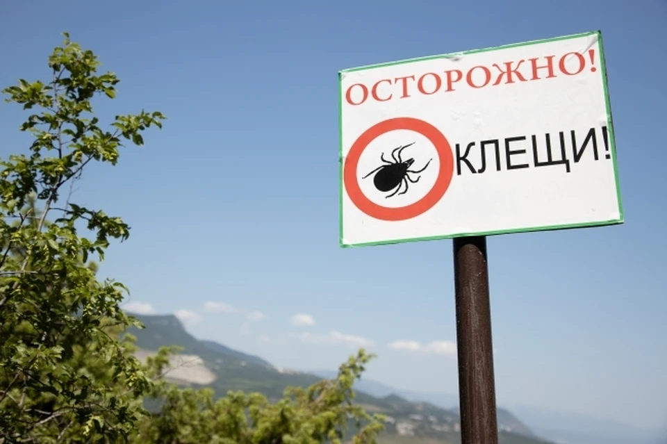 319 случаев присасывания клещей зафиксировано в Нижегородской области.