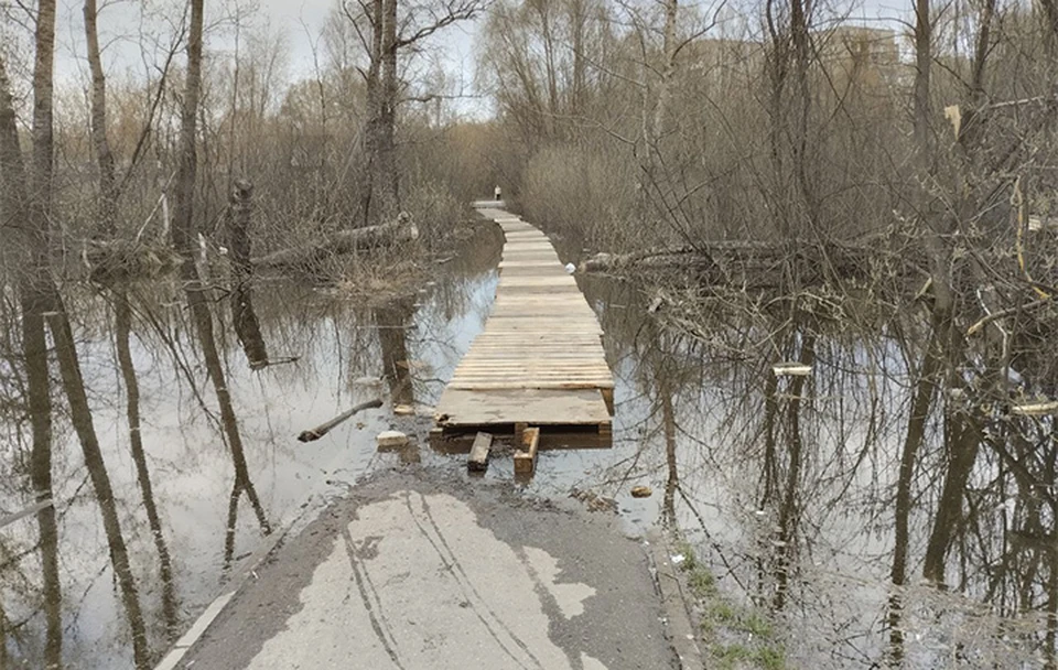 Проверка слуха: В луже, затопившей тротуары в Нижнем Новгороде, завелись караси.