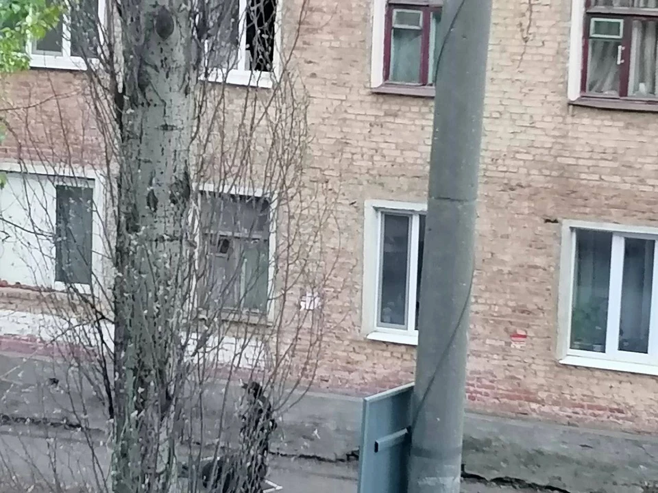 Пострадавший вылетел прямо с москитной сеткой. Фото: Подслушано Самара