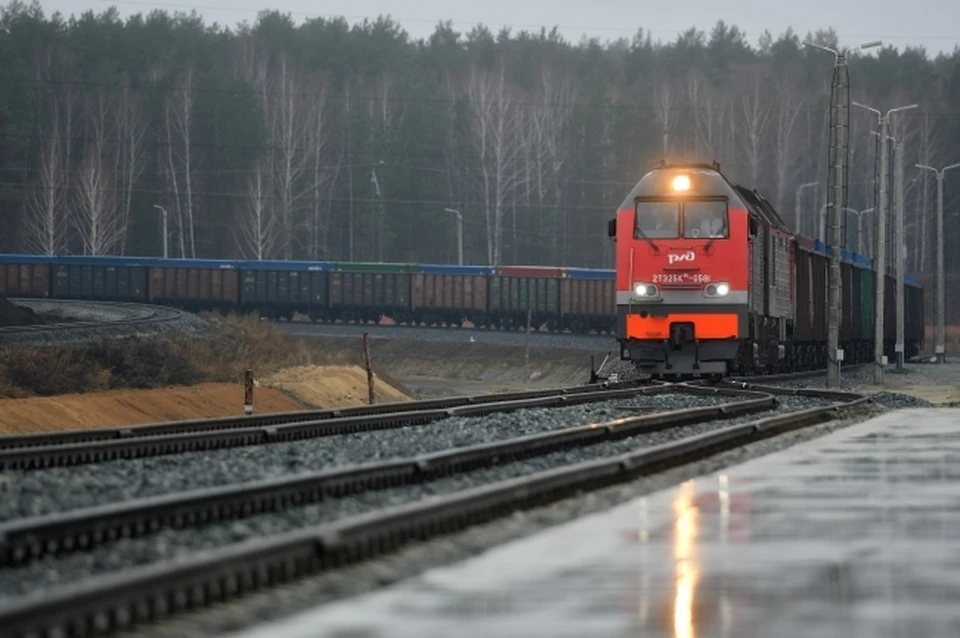 В Новосибирской области грузовой поезд насмерть сбил мужчину.
