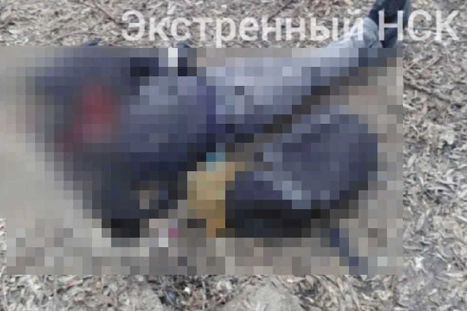Под Новосибирском мужчина подорвался на гранате. Фото: Телеграм-канал "Экстренный Новосибирск".