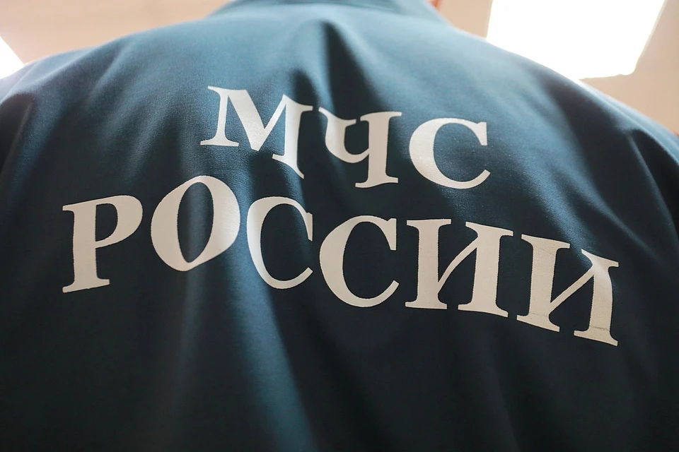 В Зеленогорске домашние животные сгорели в квартире после включения света