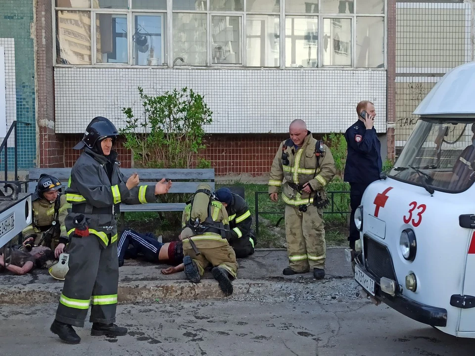 ФОТО: телеграм-канал Симбирский шугожор