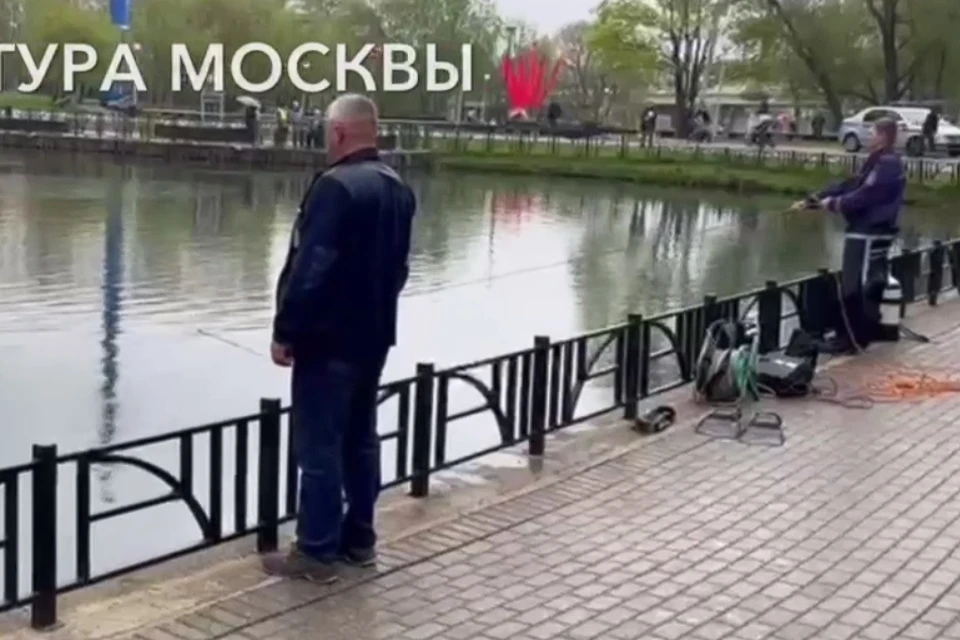 Специалисты не обнаружили якобы найденные дайвером в Беловежском пруду на западе Москвы тела Фото: стоп-кадр из видео