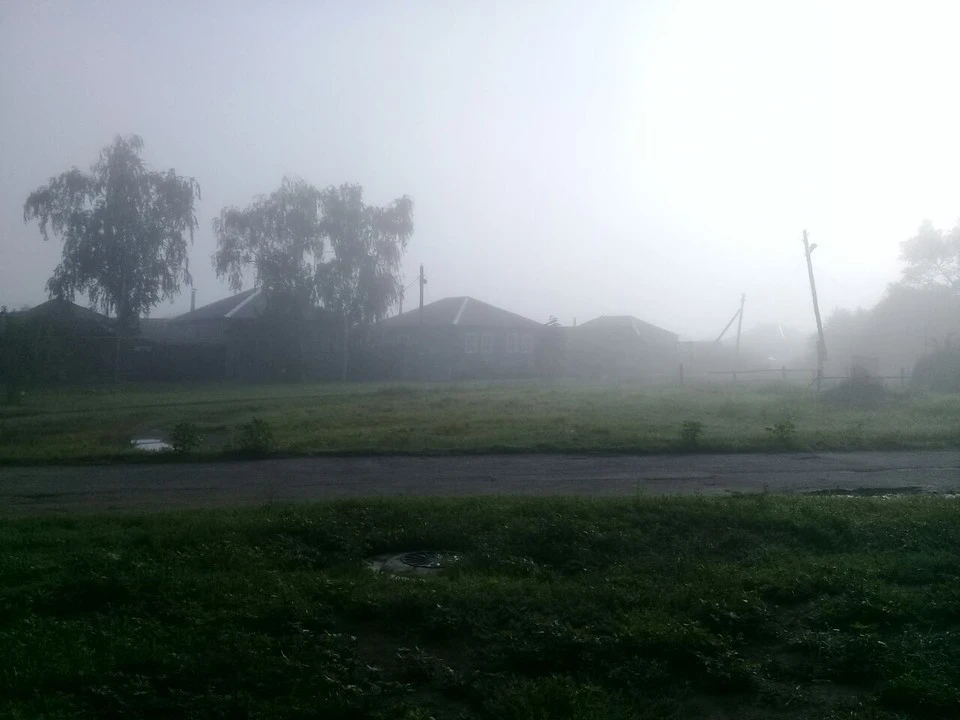 Ветер северный, 8-13 м/с, при грозах местами порывы до 16 м/с.