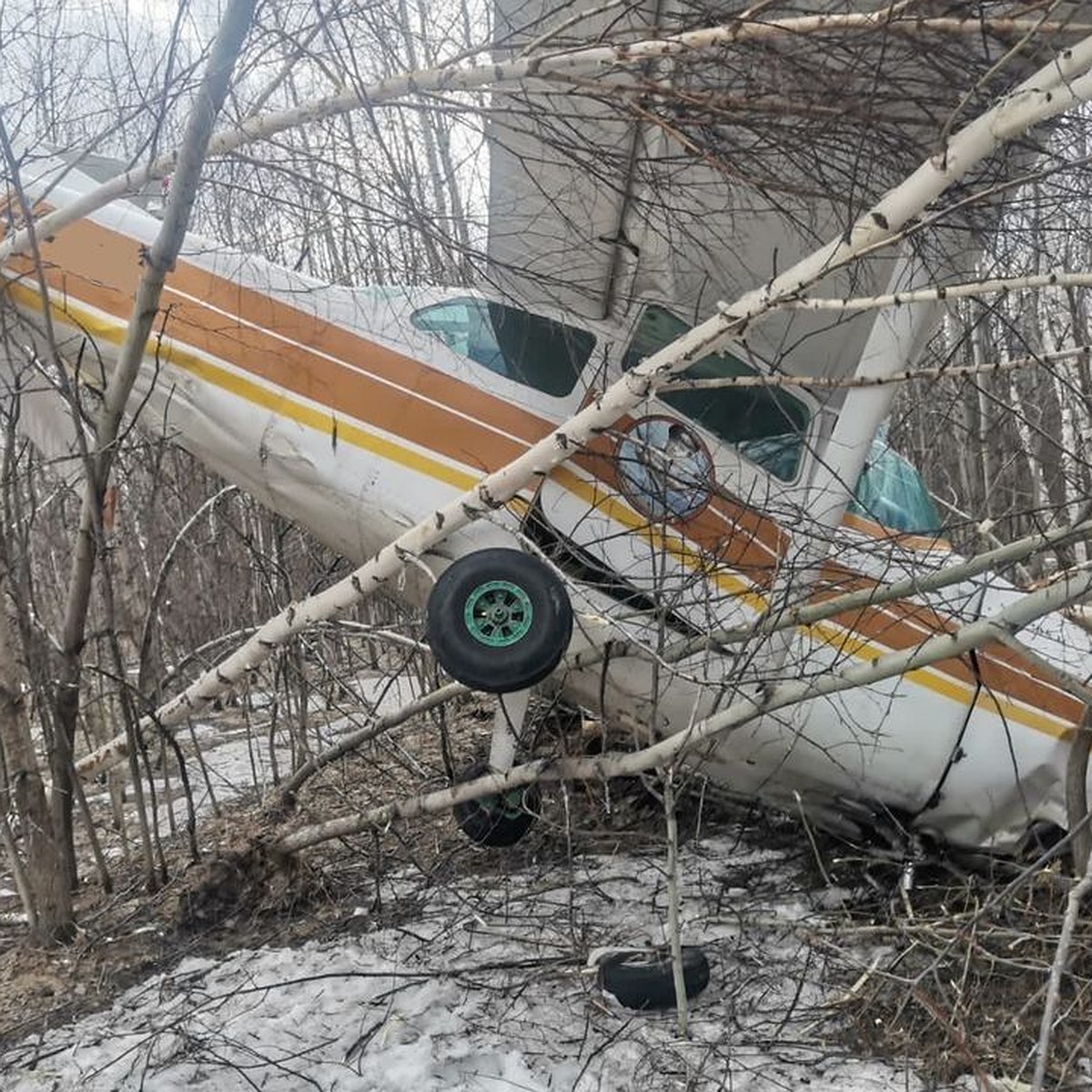 В Новосибирске упал легкомоторный самолет Cessna 172 - KP.RU