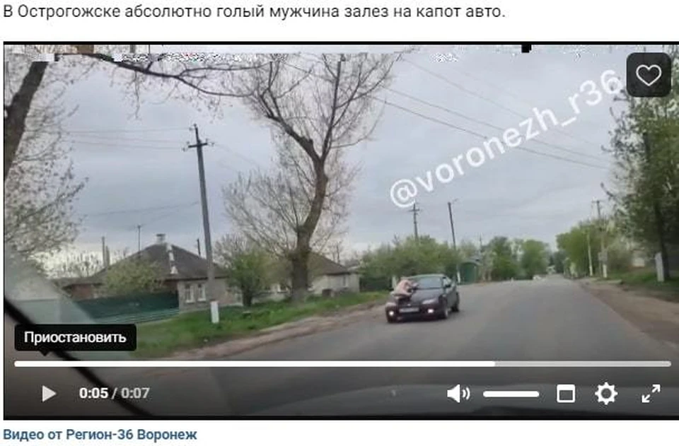 Езда нудиста на капоте чужой машины длилась недолго.