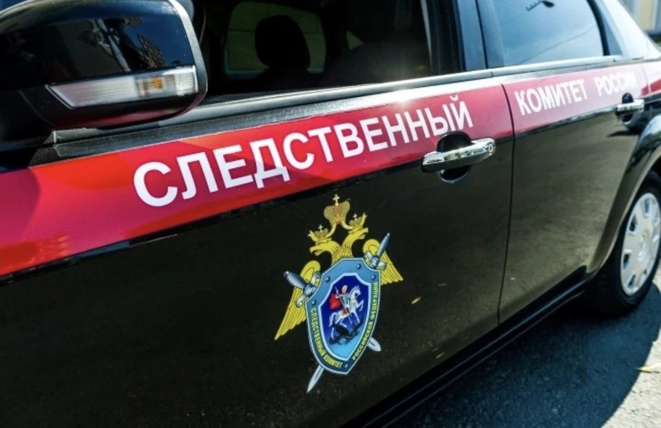 Бастрыкин поручил возбудить уголовное дело в связи с избиением первоклассника в Смоленске.