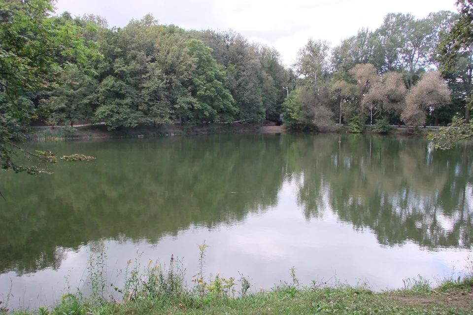 Ремонт плотины в Платоновском парке Тулы планируют завершить до 20 июня