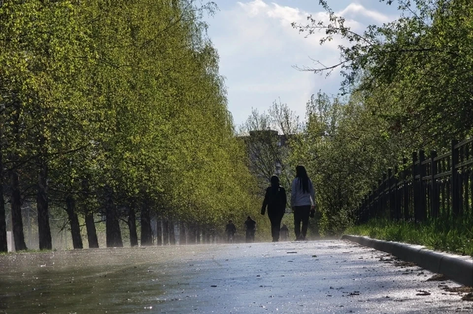 Скорость ветра составит от трех до восьми метров в секунду.