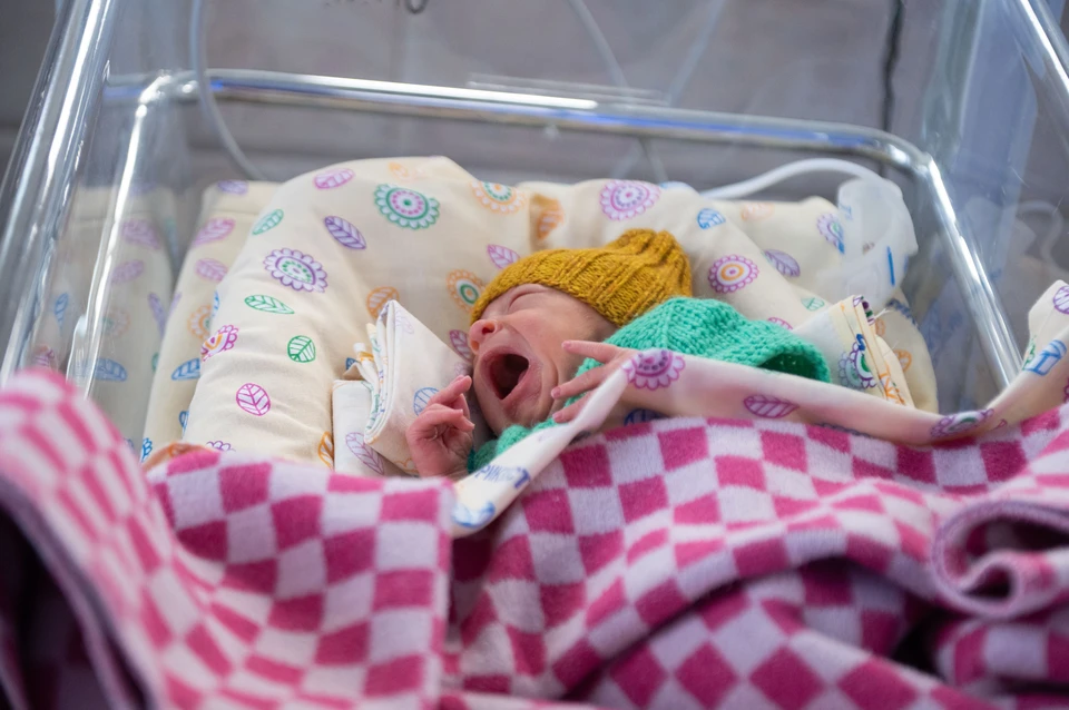 Рождаемость в Петербурге снизилась на 8%