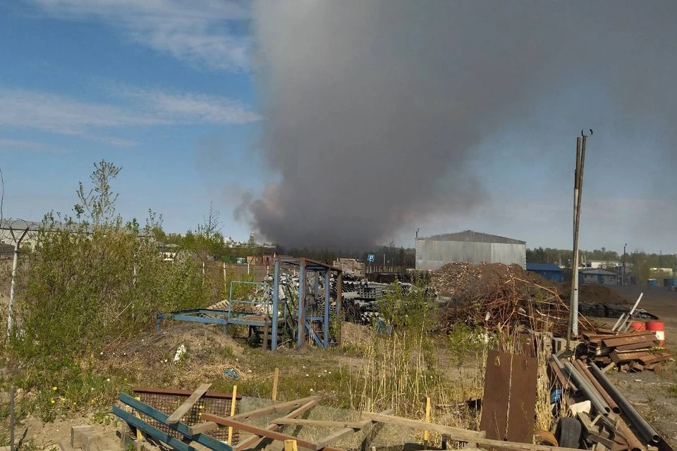 Пожар произошел на полигоне в Ленобласти. Фото: t.me/Megapolisonline