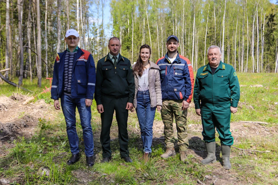 Энергетики Совета молодежи высадили деревья в Жуковском лесничестве Калужской области.