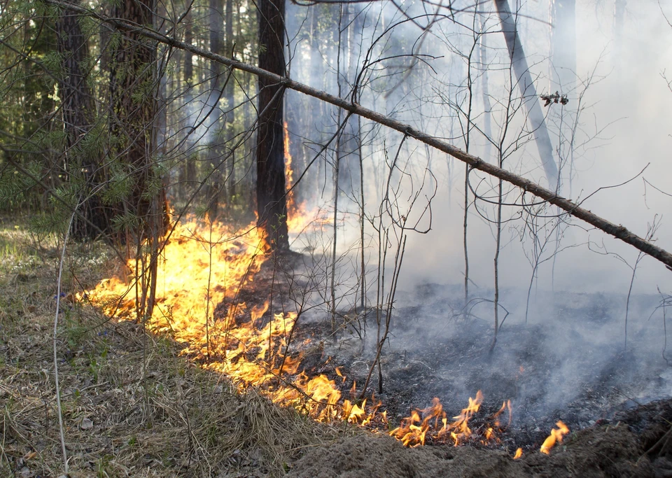 Ликвидированы крупные возгорания в Сухом Логу, в Березовском и Артемовском городских округах, а также в Пышминском и Верхотурском районах