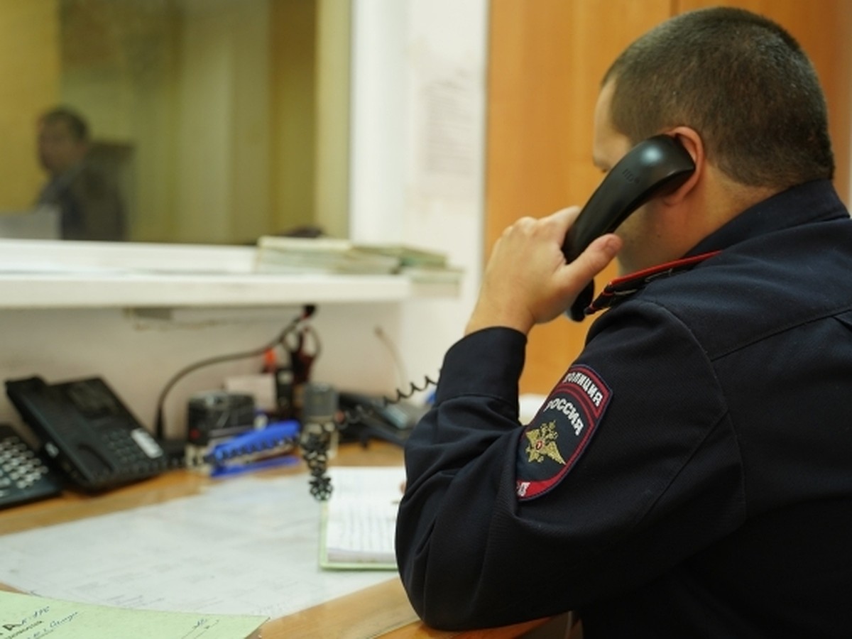 В Гусь-Хрустальном полицейские нашли наркотики в подголовнике автомобиля -  KP.RU