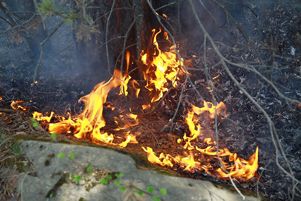 Три лесных пожара на площади в 32.5 га потушили в Иркутской области