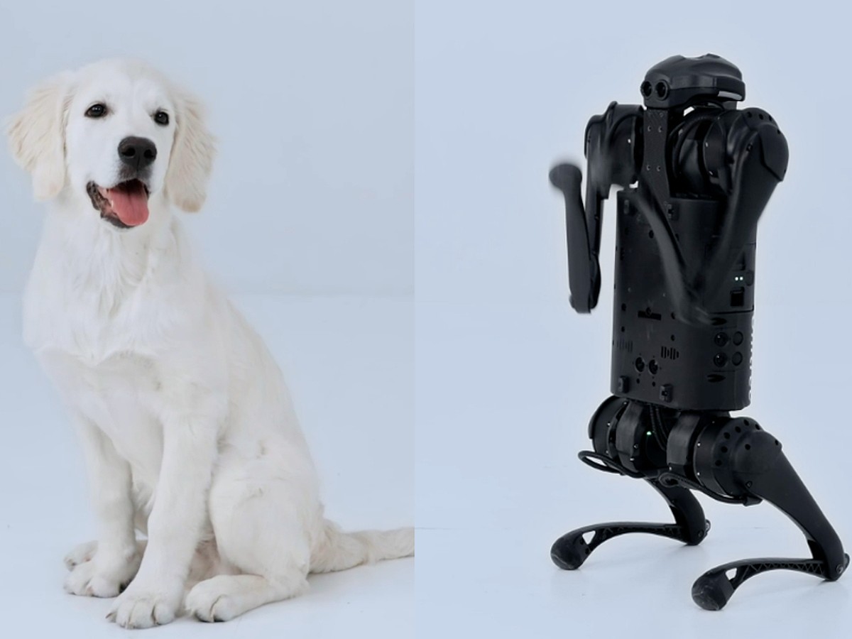 Игрушечный интерактивный щенок на дистанционном управлении со звуком, интерактивная собака робот