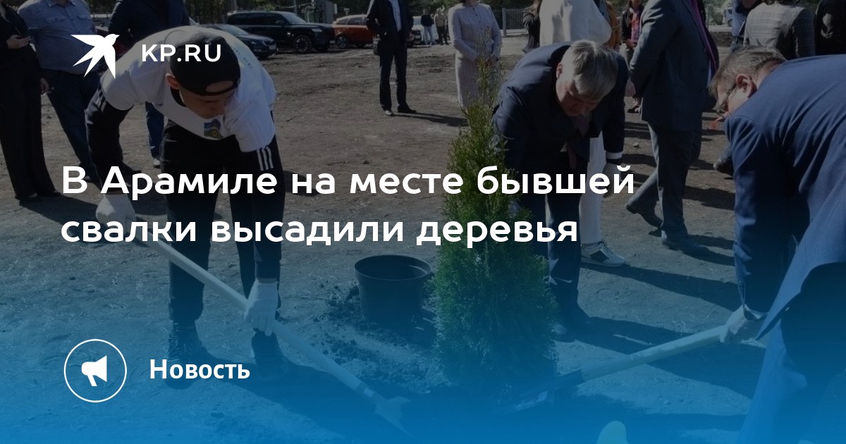 В Арамиле на месте бывшей свалки высадили деревья - KP.RU