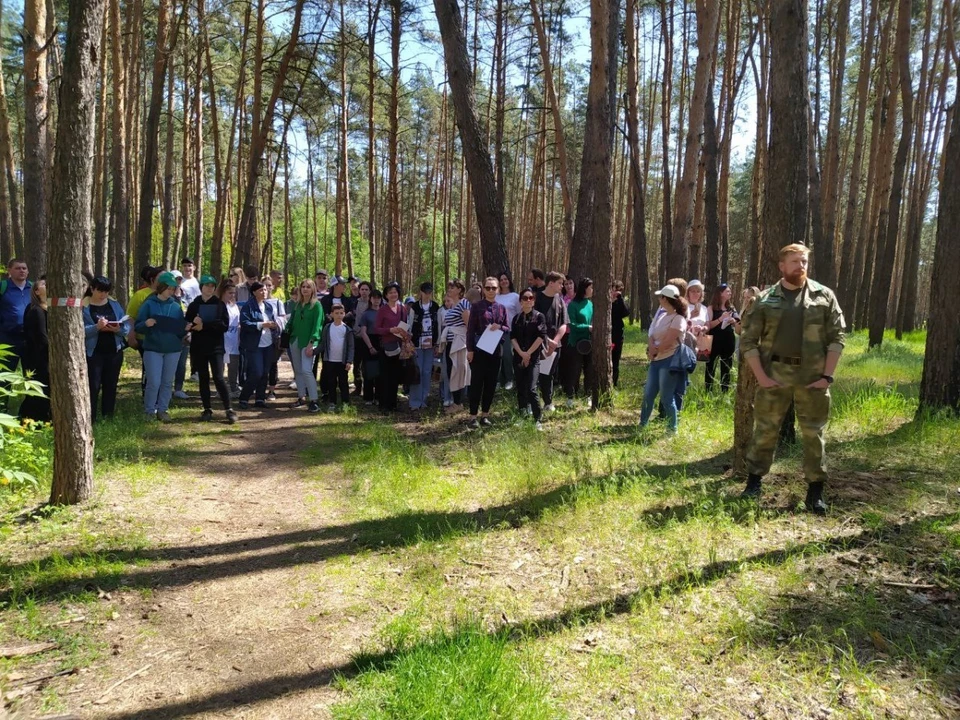Участники практикума отобрали и отметили деревья, предназначенные для рубки.
