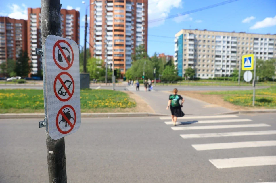 Новые знаки появятся на нерегулируемых пешеходных переходах. Фото: t.me/transportniytseh