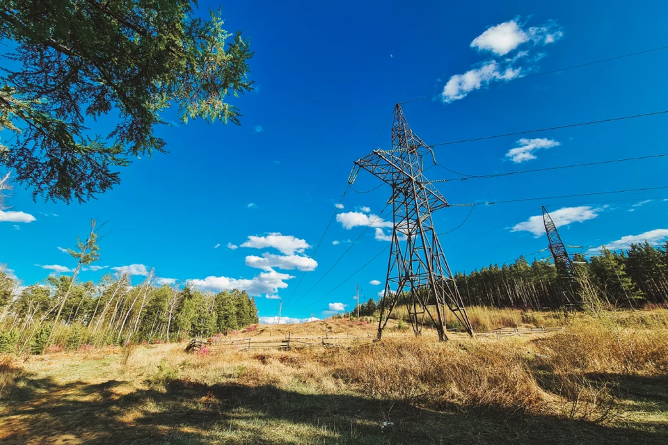 Фотоловушки помогут энергетикам предотвратить хищения с забайкальских ЛЭП. Фото: МЭС Сибири