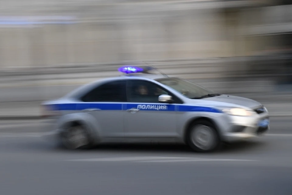 В Новосибирске полиция проверит толпу агрессивных подростков с «Золотой Нивы».