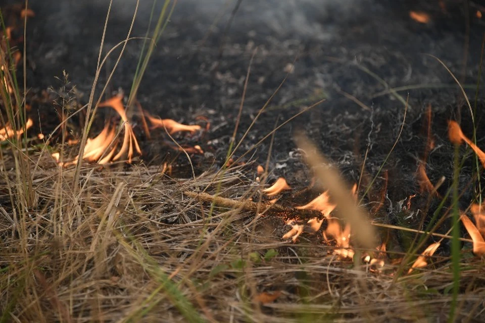 МЧС вновь предупредило ярославцев о пятом классе пожароопасности в некоторых районах