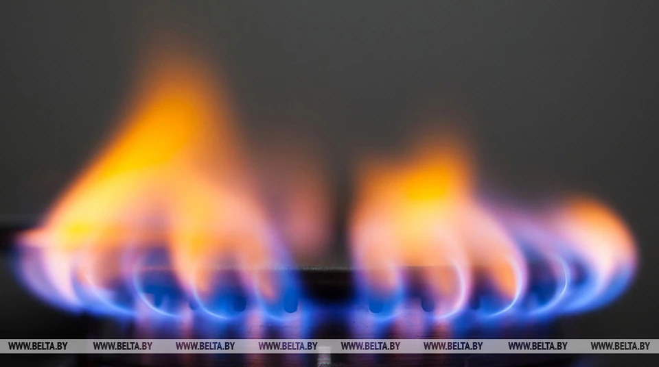 Глава Минэнерго России рассказал о ценах на газ для Беларуси. Фото: БелТА