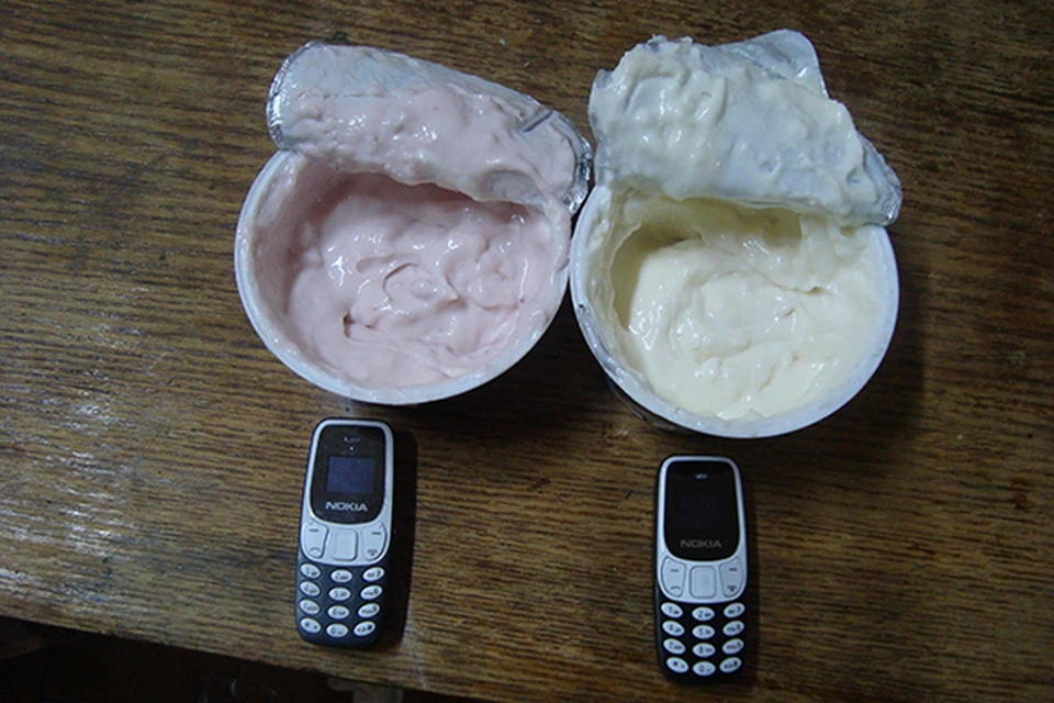 В исправительной колонии Тульской области перехватили передачку с начиненными телефонами йогуртами