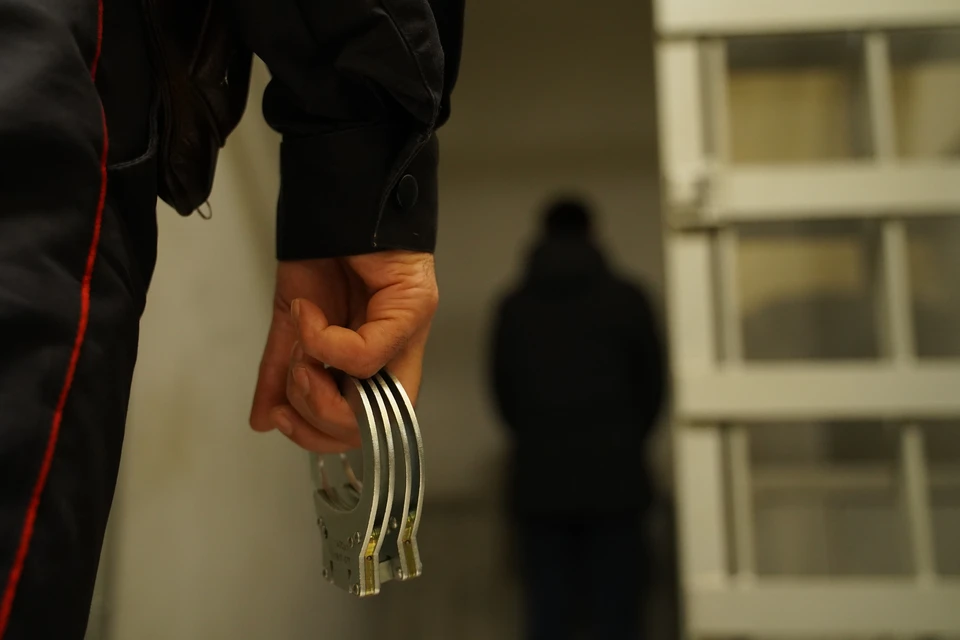 После 29 июля Жогова могут вернуть в СИЗО, но могут и оставить под домашним арестом.