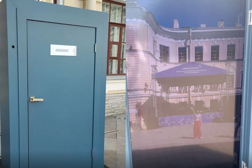 Такие двери установили в Новосибирске и Санкт-Петербурге. Фото: стоп-кадры из видео / правительство НСО