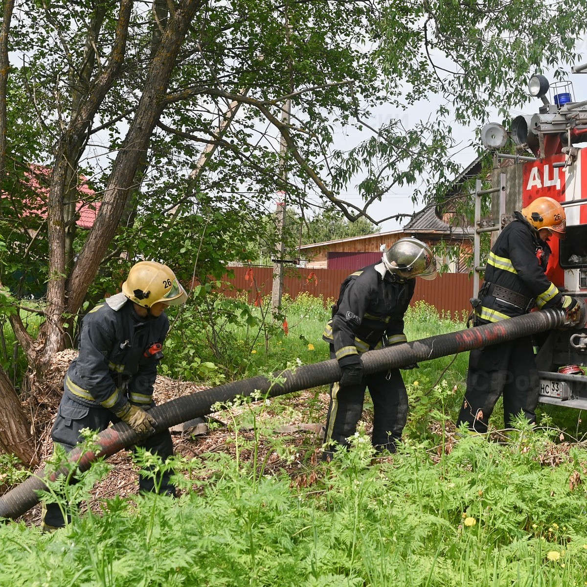 Во Владимирской области МЧС не может использовать половину противопожарных  прудов - KP.RU