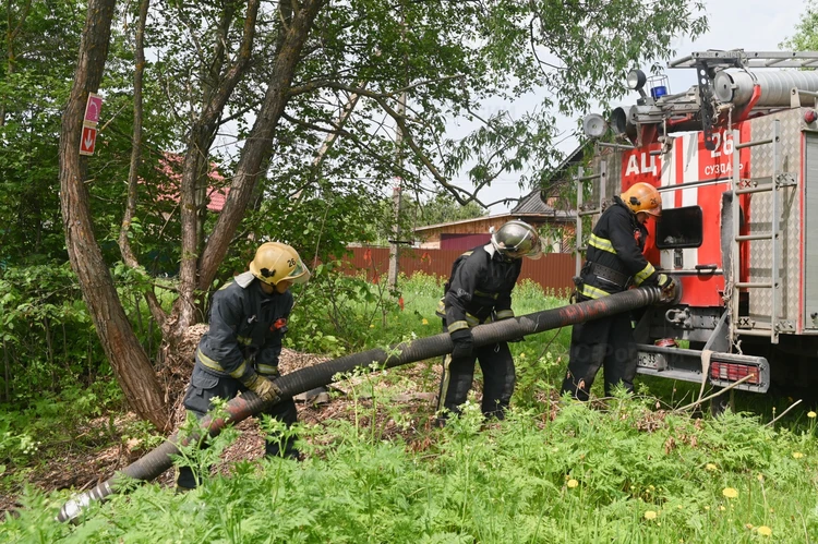 Во Владимирской области МЧС не может использовать половину противопожарных прудов