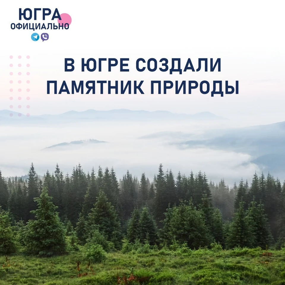 Фото: телеграм-канал «Югра официально»