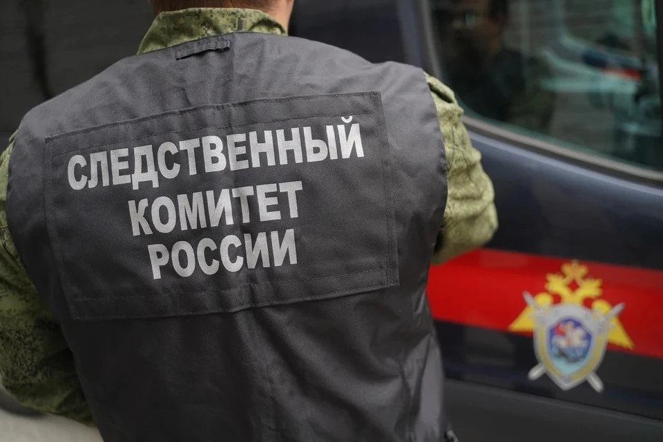 Следователи СК России расследуют факты падения беспилотников в Москве