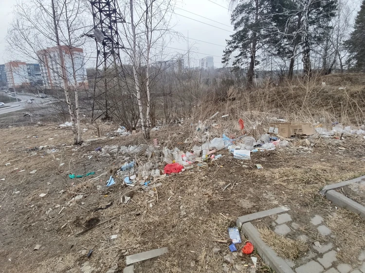 «Антирейтинг чистоты»: горожане рассказали, какой район Томска самый грязный