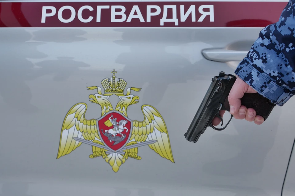 Подозреваемого росгвардейцы передали полиции