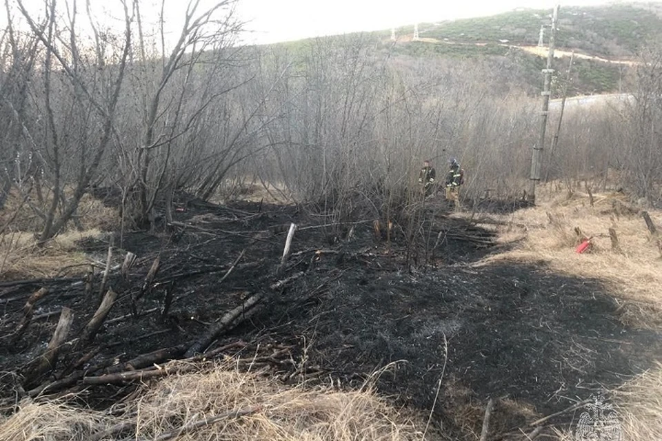 Две девочки устроили большой пожар