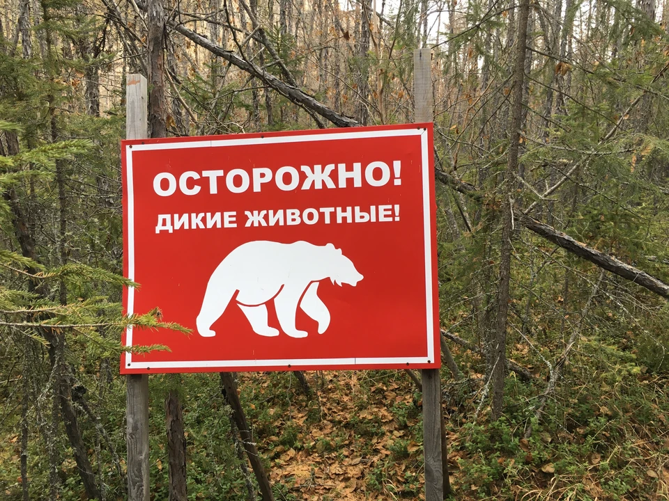 На дорогах Томской области устанавливают дополнительные дорожные знаки