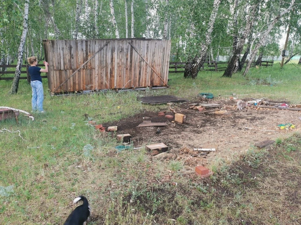Фото: Пони ферма "Пинто Бриз"/ Vk.com
