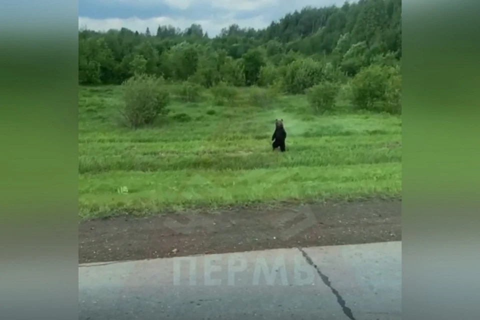 В Пермском крае День физкультурника девушки отметили забегом на шпильках. Видео