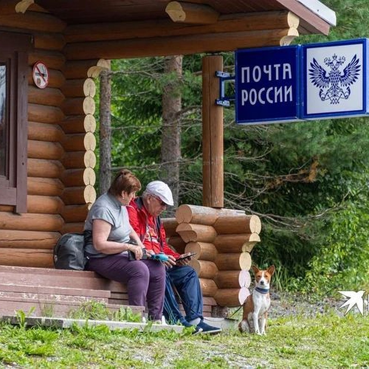 Пенсионерке из Екатеринбурга три недели не несли пенсию и предлагали прийти  за ней самой - KP.RU