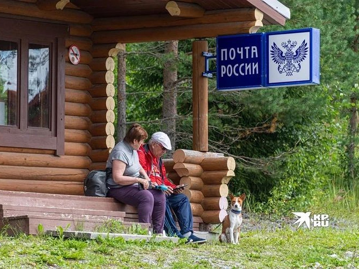 Пенсионерке из Екатеринбурга три недели не несли пенсию и предлагали прийти  за ней самой - KP.RU