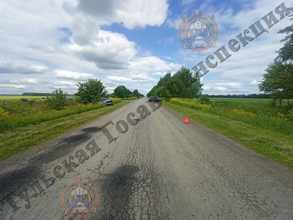 В ДТП в Тепло-Огаревскогом районе Тульской области пострадали пять человек