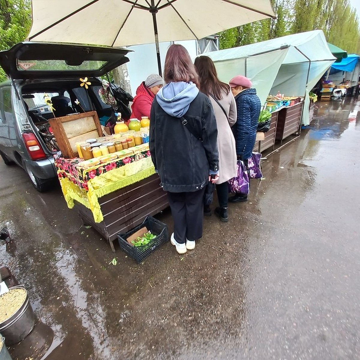 В Воронеже определились с местом для переезда Птичьего рынка - KP.RU