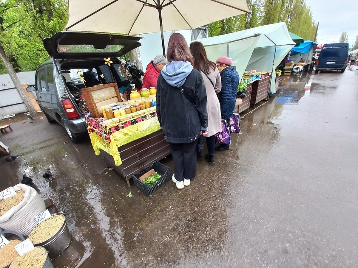 В Воронеже определились с местом для переезда Птичьего рынка - KP.RU