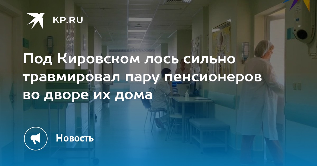 Под Кировском лось сильно травмировал пару пенсионеров во дворе их дома