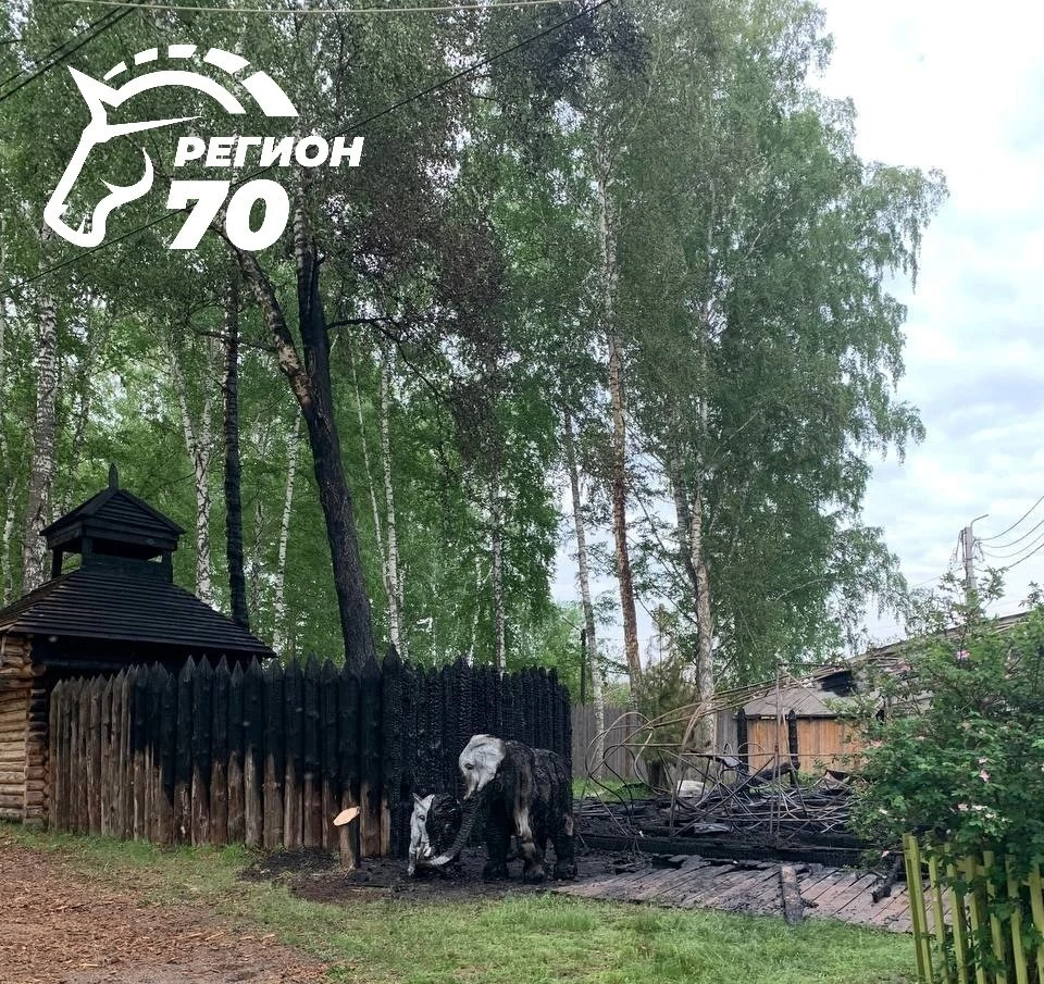 Последствия пожара в парке «Околица». Фото: Telegram-канал «Регион-70 Томск»